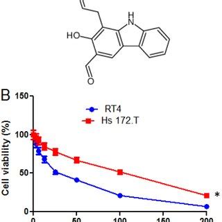 A Chemical Structure Of Heptaphylline B Mtt Assay Showing The