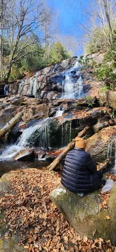 Best Hikes And Trails In Snowbird Wilderness Study Area Alltrails