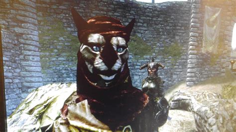 This Is Why All My Khajiit Characters Choose To Destroy The Dark Brotherhood R Skyrim