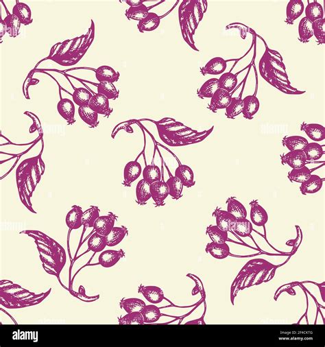 Autumn Seamless Pattern With Berries And Leaves Hand Drawn Seasonal