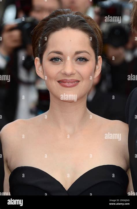 Marion Cotillard Arriving At The Gala Screening Of De Rouille Et D Os