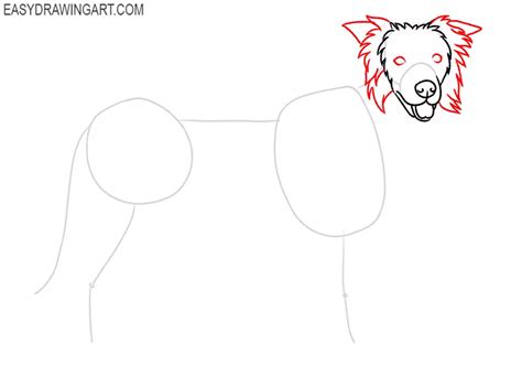 How To Draw A Border Collie Easy Drawing Art