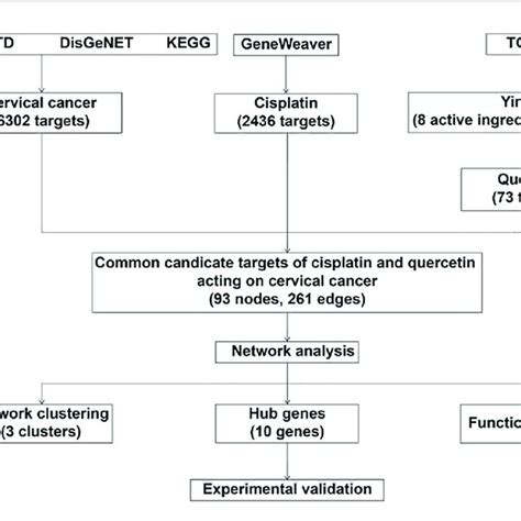 Schematic Of The Network Pharmacological Analysis Used To Identify Download Scientific