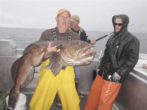 Local Angler Fools Gigantic Alaskan Cod