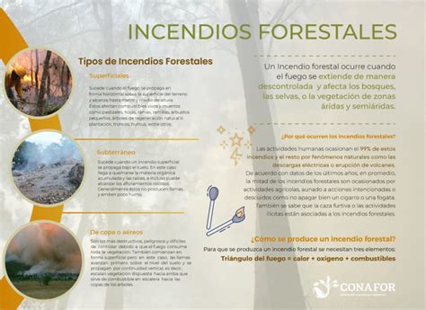 Incendios Sistema Nacional De Información Forestal