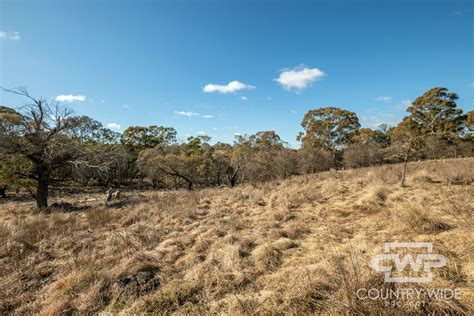 228 Ben Lomond Road Guyra NSW 2365 Vacant Land For Sale Domain