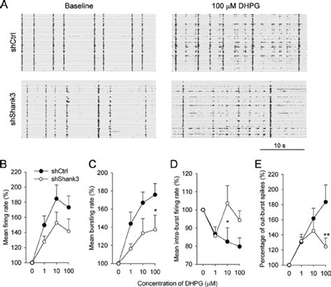 Knockdown Of Shank Impairs Dhpg Induced Modulation Of Neuronal Network