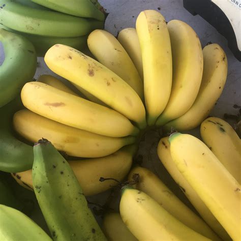 Event Schedule and Venue Guide for Newcastle Entertainment Centre 26