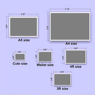 Walmart Wallet Size Photos Dimensions | Literacy Basics