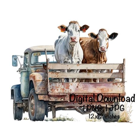 Cows In The Back Of A Farm Truck Watercolor Cow Old Truck Clipart Wall