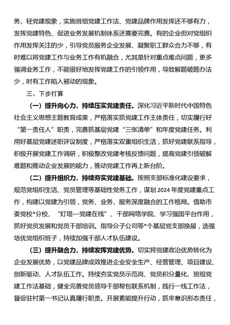 某公司党委书记2023年抓基层党建工作述职报告 抓党建述职 文档中心 写作方程式写作方程式 老笔头 笔杆子 公文写作