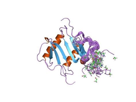 Interleukin 8 receptor, alpha - Alchetron, the free social encyclopedia