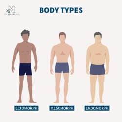 Male Body Types: A Comprehensive Guide - The Modest Man