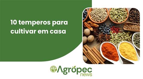 Temperos Para Cultivar Em Casa Agropecnews