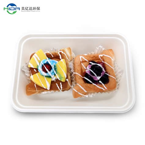 1000ml Disposable Biodegradable Sugarcane Square Lunch Boxes Fruits