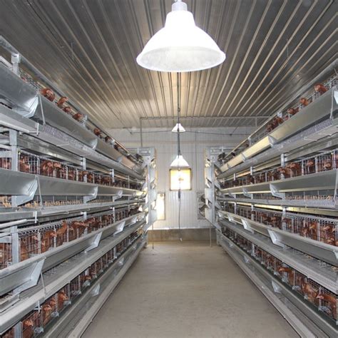 Poultry Chicken Cage 4 Tiers H Type System Raising Farming Equipment