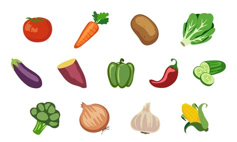 Vector Vegetables Tomato Carrot Potato Lettuce Eggplant Purple Potato