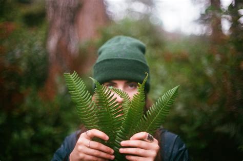 Banco De Imagens Mão árvore Natureza Floresta Grama Pessoa