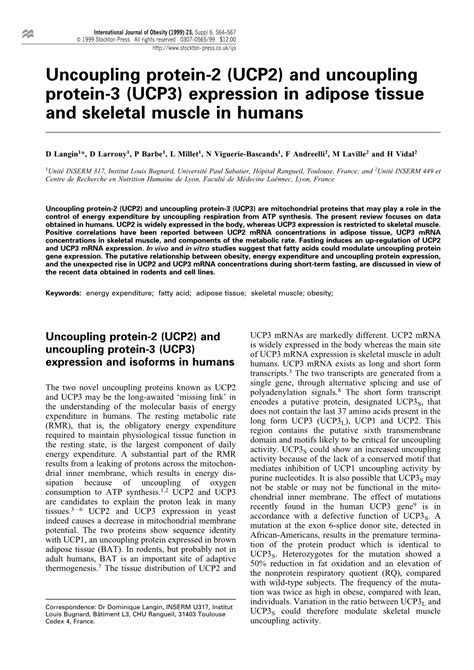 UCP2 And Uncoupling Protein 3 UCP3 Expression In Adipose Tissue And