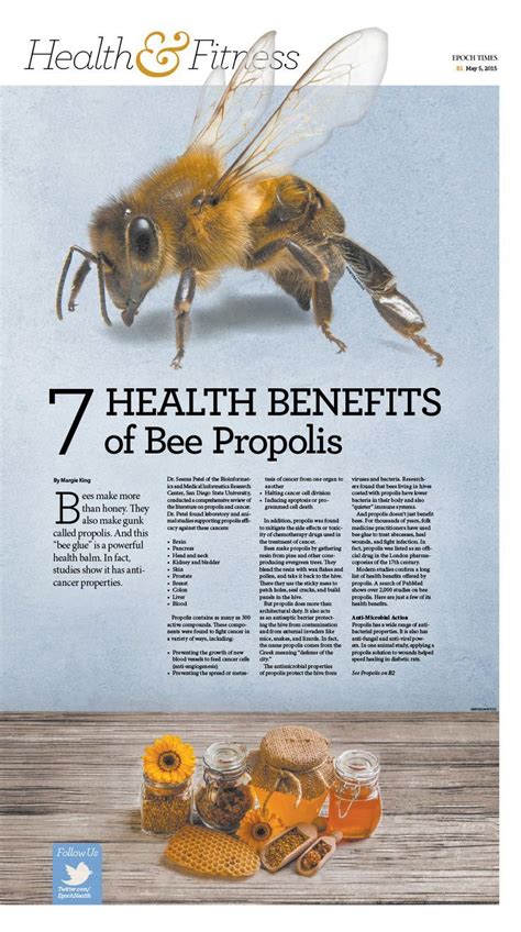 7 Health Benefits Of Bee Propolis｜epoch Times Health Newspaper Editorialdesign Bee Propolis