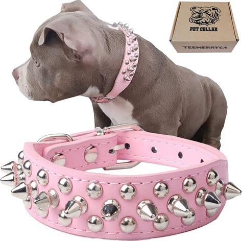 Collar For Pitbull Puppy At Francis Mcmanis Blog