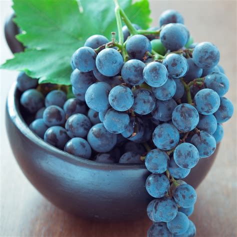 Different Types of Grapes You Need to Try - Culinary Depot