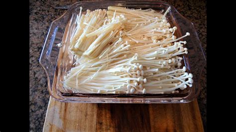 🍁 Enoki Mushroom Recipe Enokitake Gljive Recept 2020 Youtube