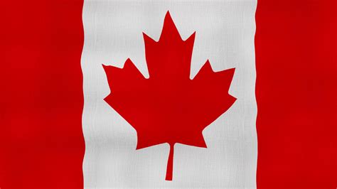 Canadá bandera ondulación paño Perfecto bucle lleno pantalla animación