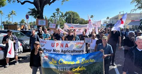 La R Union Inquiets Pour Leur Fili Re Les Planteurs De Canne En