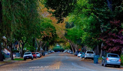 Sacramento Californias ‘city Of Trees By Mike Mcphate The