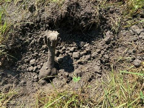 Spezialisten Angefordert Schatzsucher Macht Bei Mindelheim