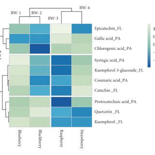 Heatmap Showing Phenolic Compounds Distribution And Concentration