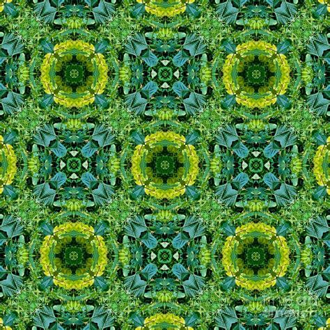 Weeds 119 Digital Art By Merrilee Anderson Fine Art America