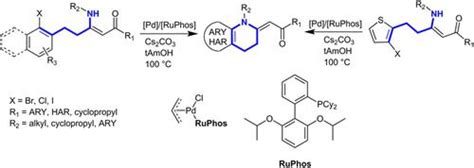 通过钯催化的分子内cn交叉偶联合成n取代的缩合四氢吡啶基烯酮journal Of Heterocyclic Chemistry X Mol
