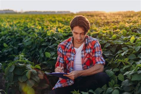 Retos Al Desarrollo Agtech En Latam Claves Para Un Abordaje De Futuro