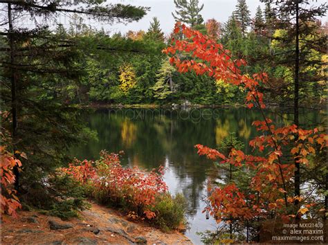 Photo of Ontario Autumn Scenery | Stock Image MXI21408