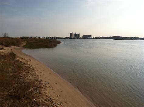 Virginia Beach Locals