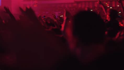 excited fans enjoying musical performance  dancing  stock