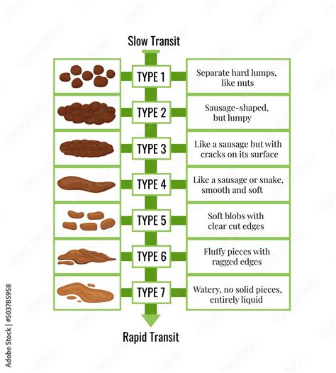 Bristol Stool Chart With Faesces Form Classification Slow And Rapid