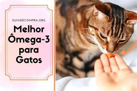 Os 6 Melhores Ômega 3 para Gatos 2025