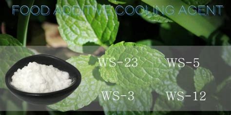 White Cooling Agent Powder Ws23 Food Grade Additive For Making Chewing Gum