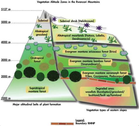 The Ecological / Vegetation Zones of the Rwenzori Mountains