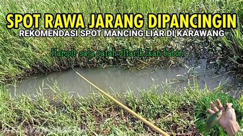 Spot Baru Ikan Nya Besar Besar Lur Mancing Liar Karawang Youtube