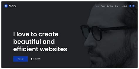 Free Bootstrap Portfolio Templates » CSS Author