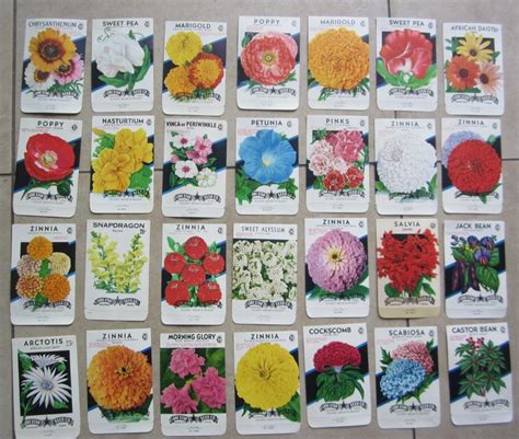 Lot Of Old Vintage S Flower Seed Packets Lone Star Empty