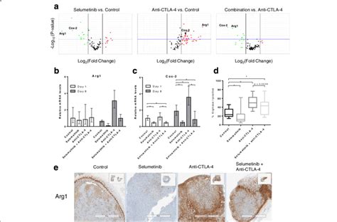 Selumetinib Reverses Anti Ctla Mediated Increases In Cox And Arg