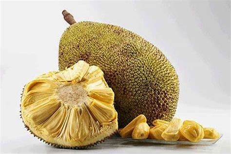 Jangan Sampai Salah Perbedaan Buah Nangka Dan Cempedak