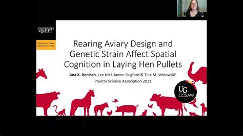 Rearing Aviary Design And Genetic Strain Affect Spatial Cognition In