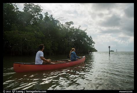 Picturephoto Couple Canoeing Towards Florida Bay Everglades National