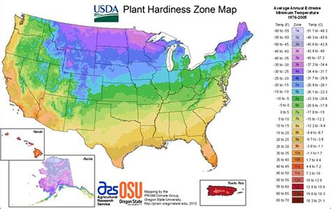 Understanding Your Growing Zone To Prepare For Spring Gardening - Off ...